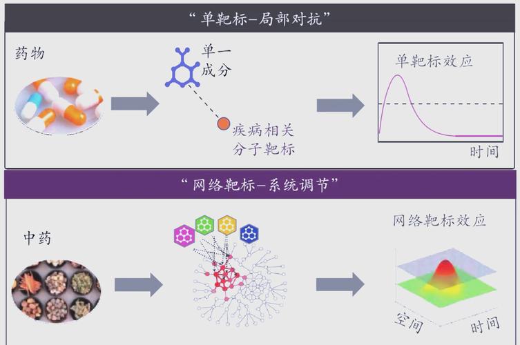 学维网络 构建学习与思维的网络化新生态